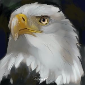 Eagle Painting